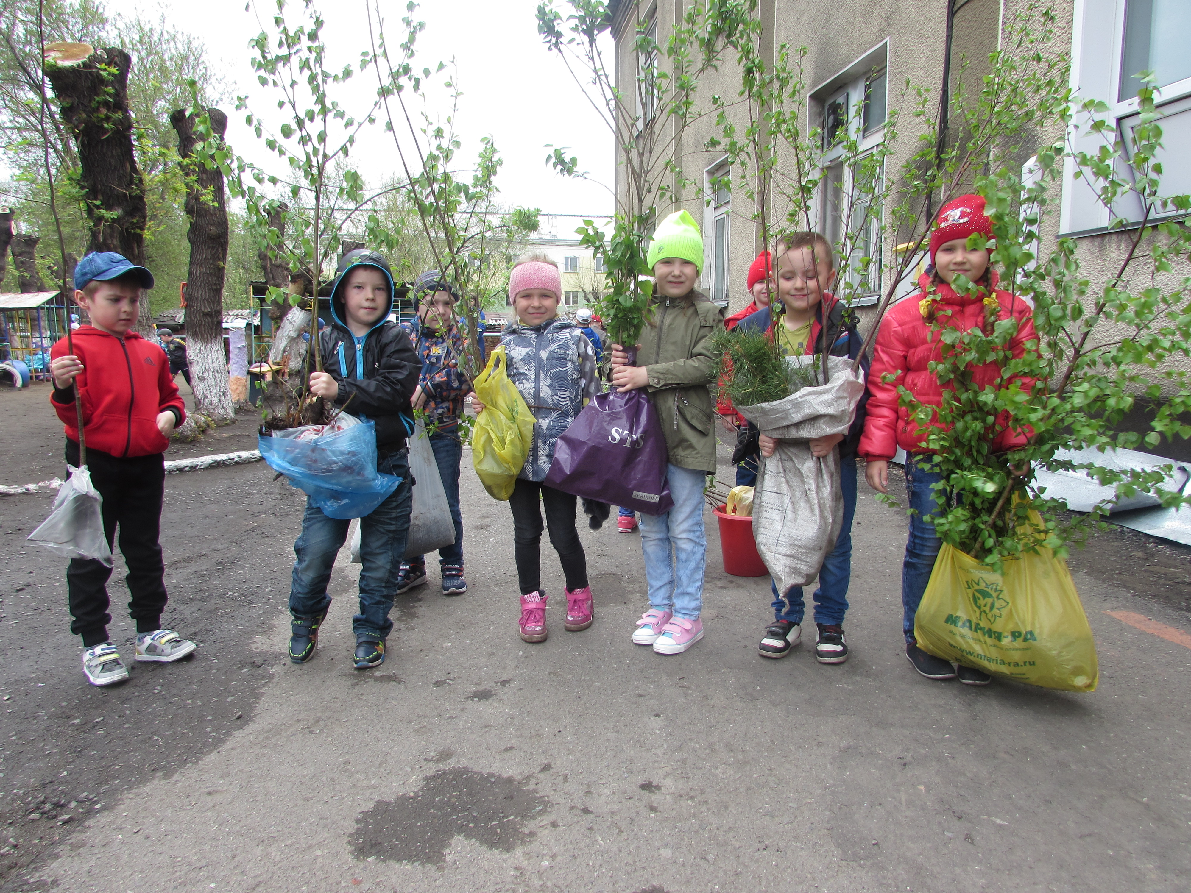 Экологическое ассорти